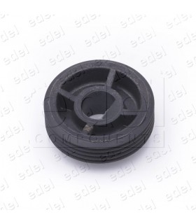 PPM-VFPV.C0000 POULIE MOTEUR PORTE 40/10 VF FERMATOR POLY-V AVEC REDUCTION