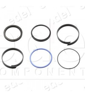 R83170010 RECAMBIO SERIE JUNTAS PISTON GMV 110 MM