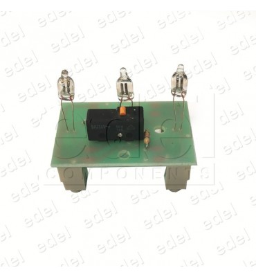 CIRCUITO PULSADOR SQ 3 LUMINOSO NEON 125V