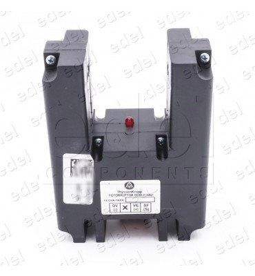 10051013 FOTORRUPTOR THYSSEN 2 HACES