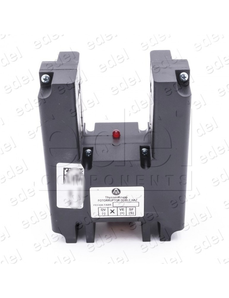 10051013 FOTORRUPTOR THYSSEN 2 HACES