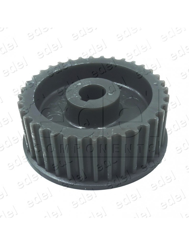 PT01P36 POLEA MOTOR TELESCÓPICA PORTECNIC 36 DIENTES