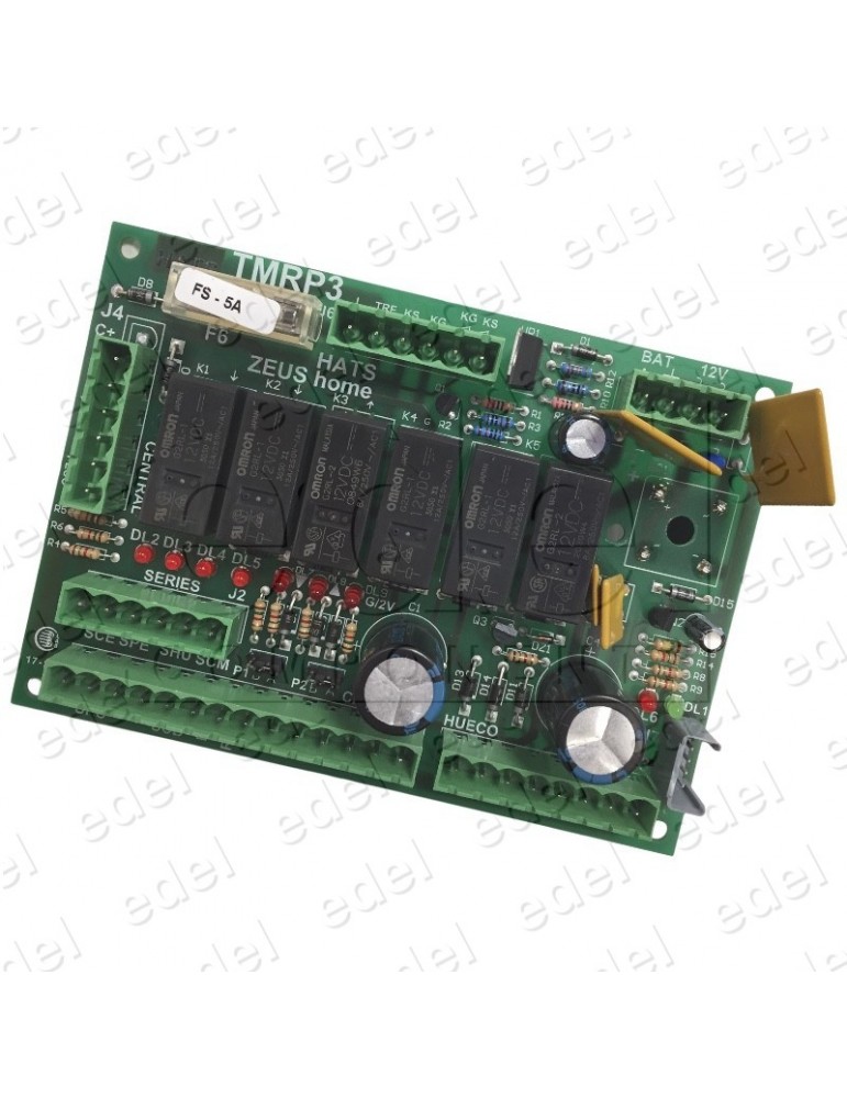 PLACA TMRP ZEUS HATS HOME