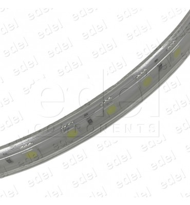 TIRA LED 5050 12W/M (1 MT.)