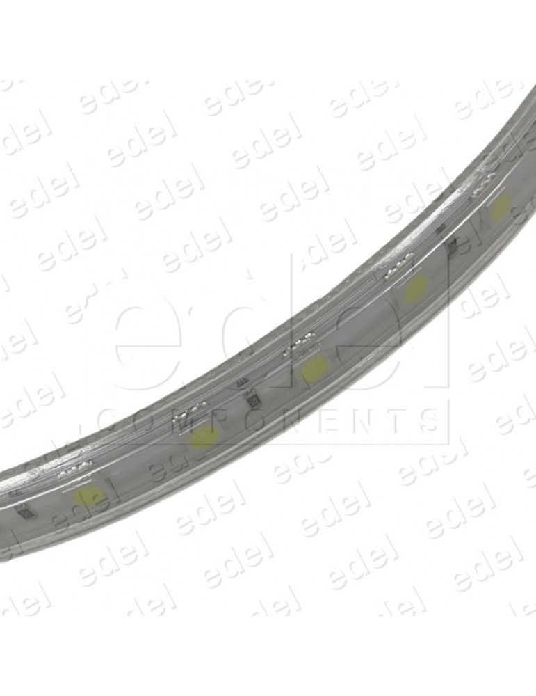 MTRS. TIRA LED 5050 12W/M