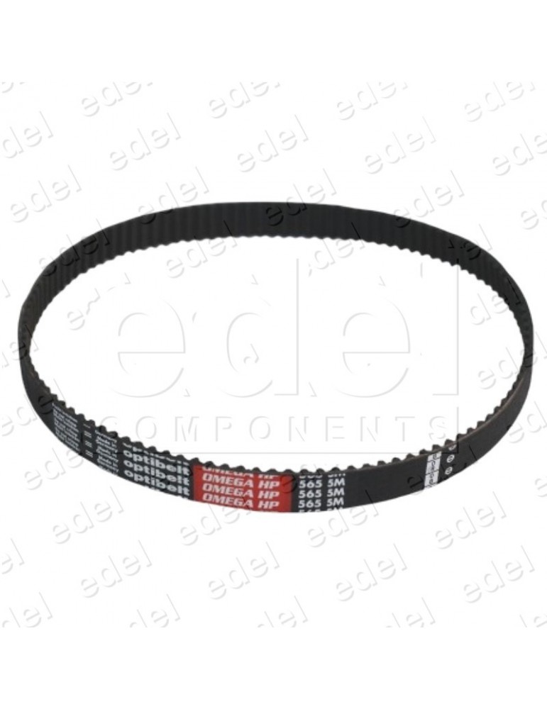 10047603 COURROIE CRANTÉE PORTE CENIA THYSSEN 565-5M-15