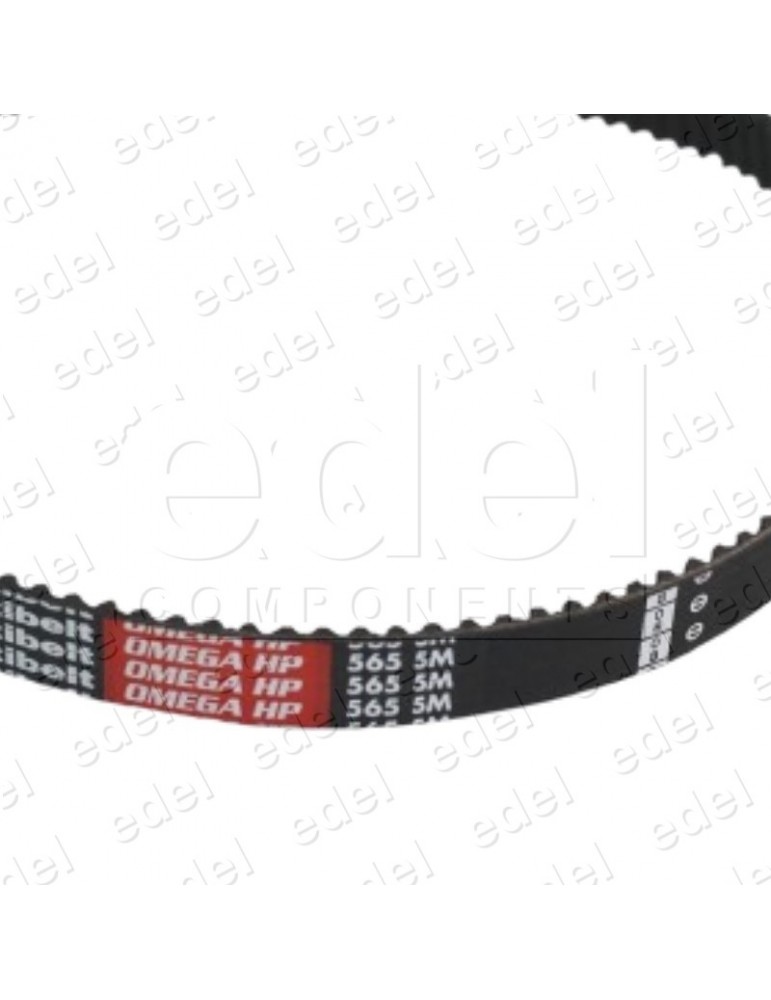 10047603 COURROIE CRANTÉE PORTE CENIA THYSSEN 565-5M-15