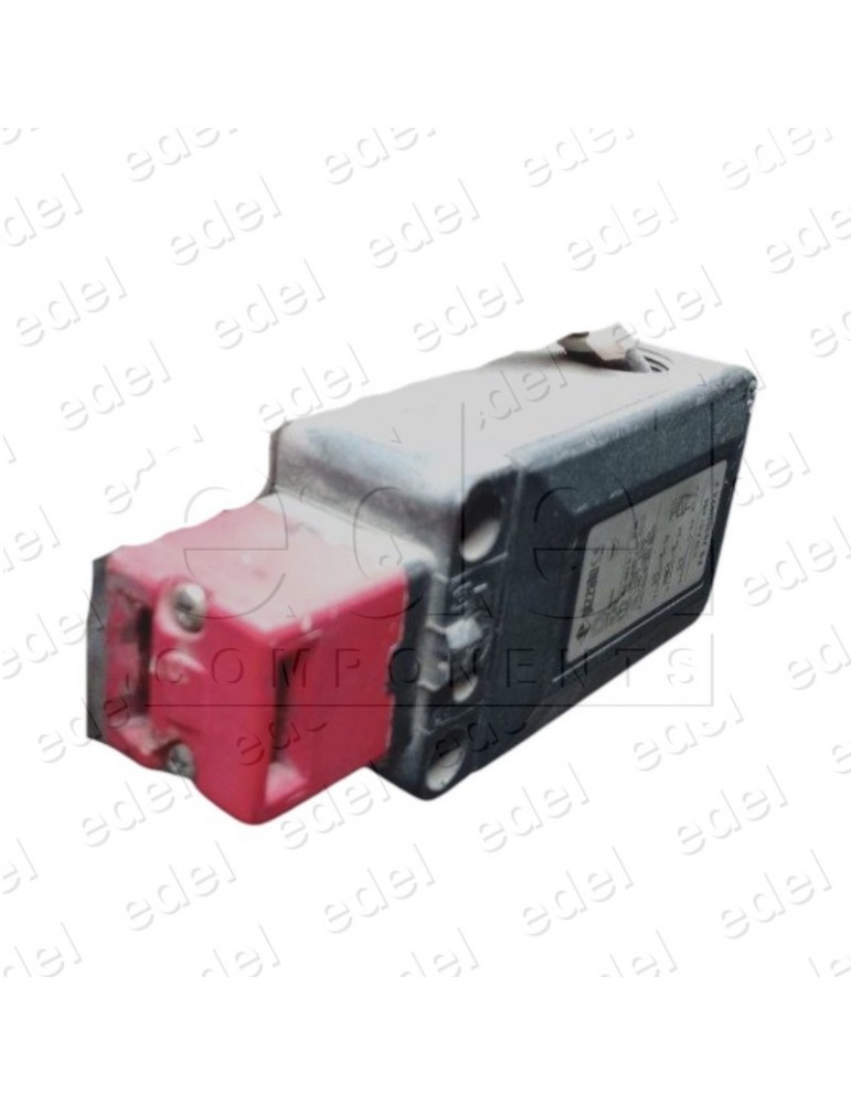 FS2896D024M2 INTERRUPTOR SEGURIDAD PIZZATO CON SOLENOIDE 250VCA/6A IP66 24VCC 1NO+1NC