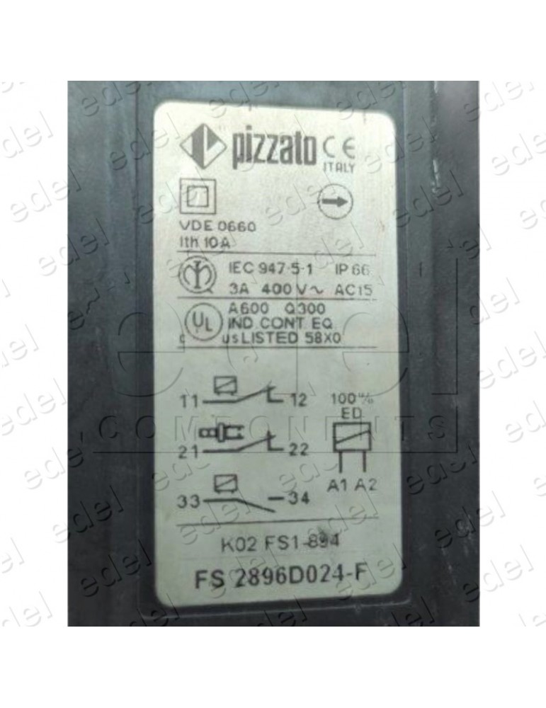 FS2896D024M2 INTERRUPTOR SEGURIDAD PIZZATO CON SOLENOIDE 250VCA/6A IP66 24VCC 1NO+1NC