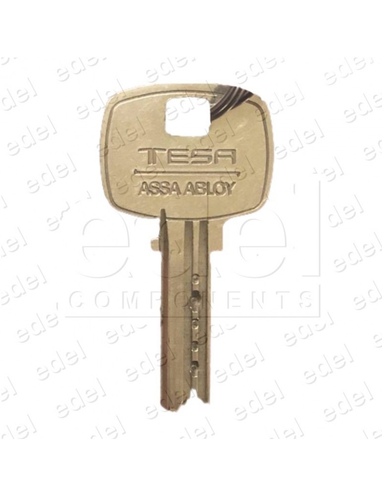 10083199 LLAVE ADICIONAL PULSADOR LLAVÍN THYSSEN DOT J9057