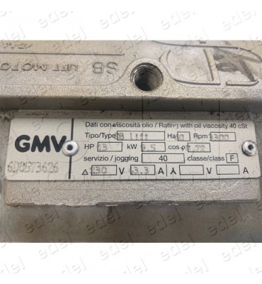 RECAMBIO BOMBA HIDRÁULICA GMV 100L/M