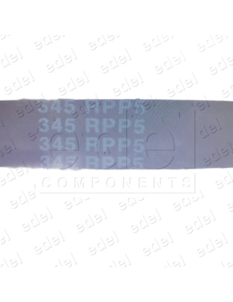 CORREA DENTADA RPP5 345x15 MM