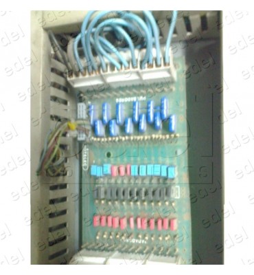 PLACA ROTELEC PPL-12 (1HILO PUL-REG.12P)