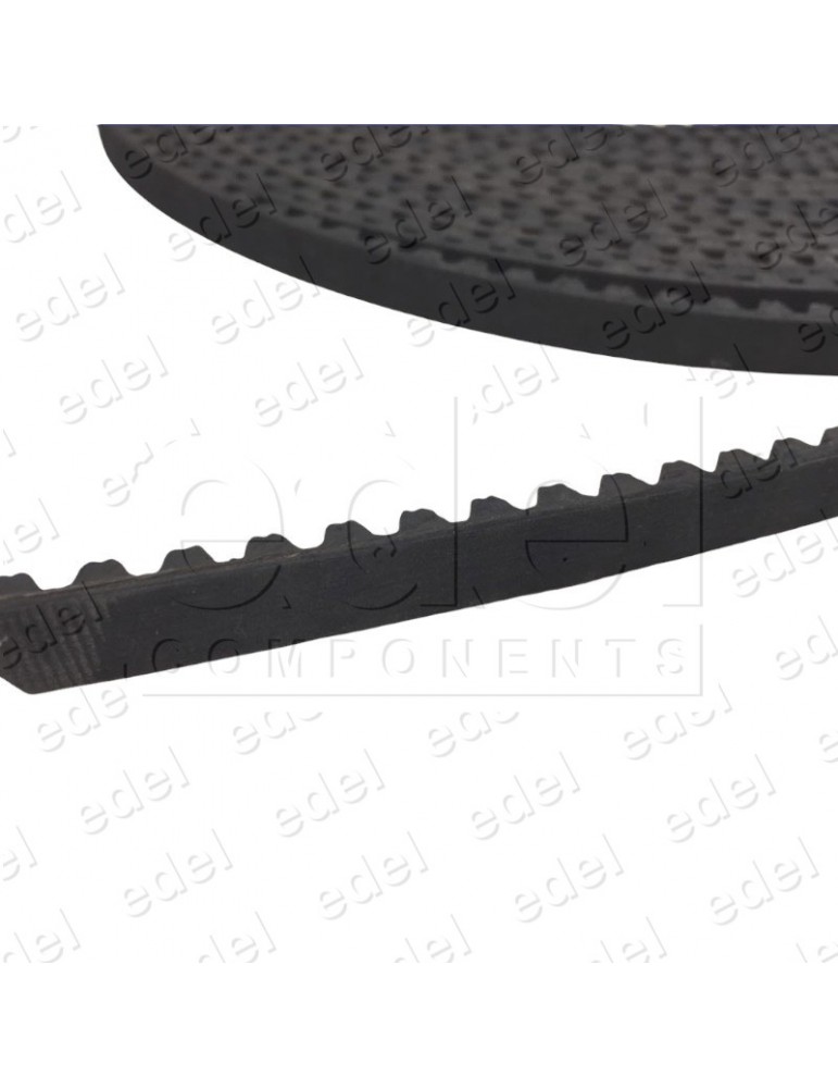 546815 CORREA DENTADA SCHINDLER VARIDOR 30 RPP8 10 (1 M.)