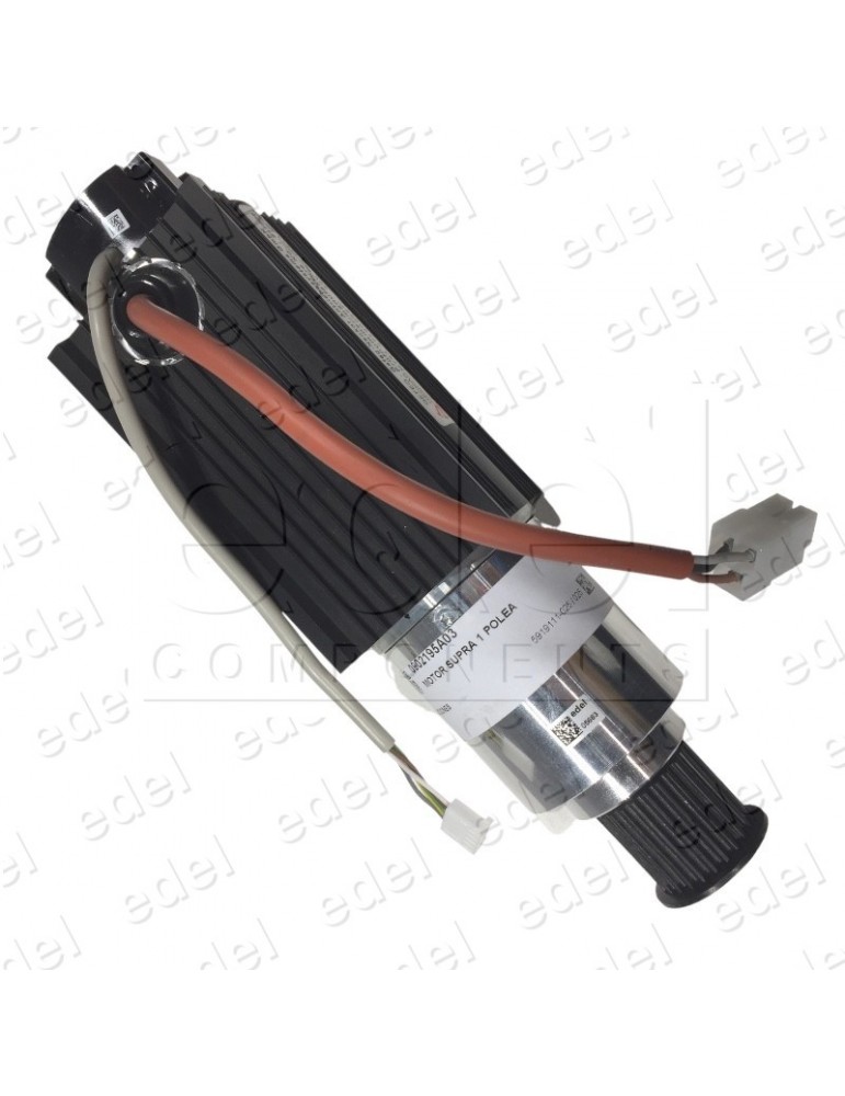 2C2A902195G03 MOTEUR WITTUR-SELCOM PORTE CABINE SUPRA 1 POULIE (ACTUEL)