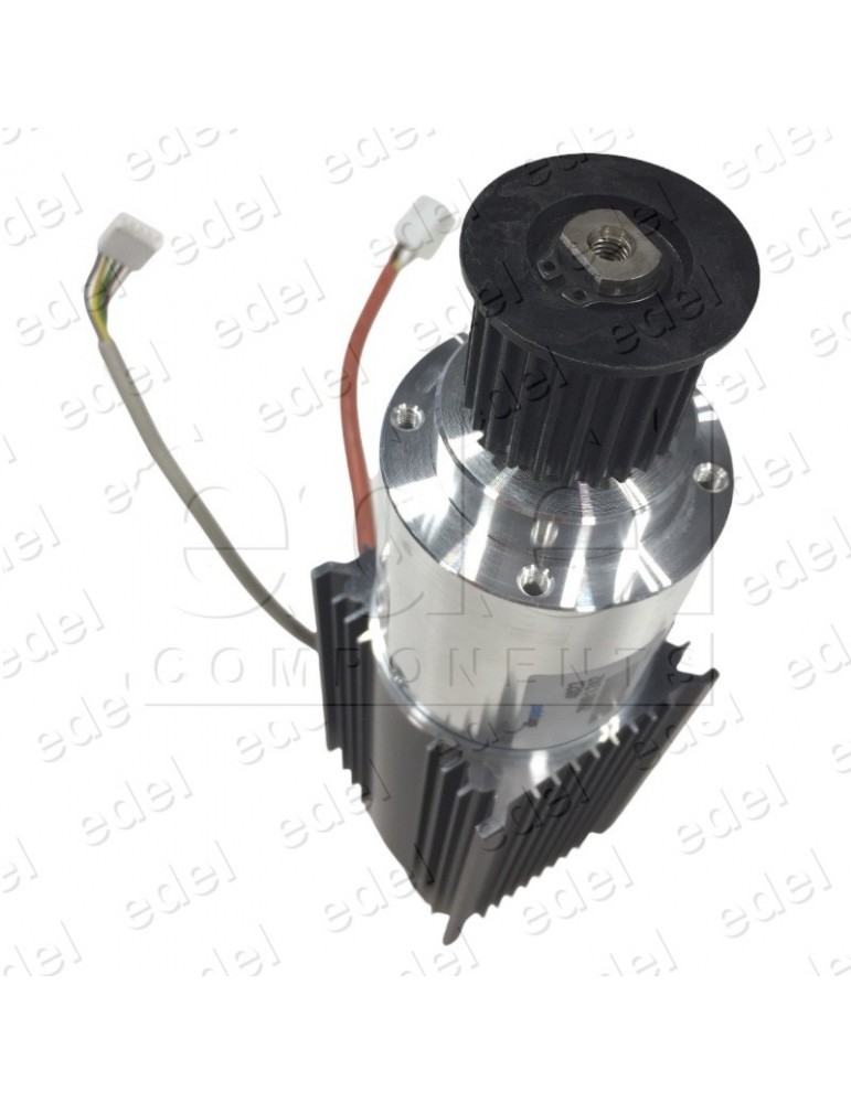 2C2A902195G03 MOTOR WITTUR-SELCOM CAR DOOR SUPRA 1 PULLEY (ACTUAL)