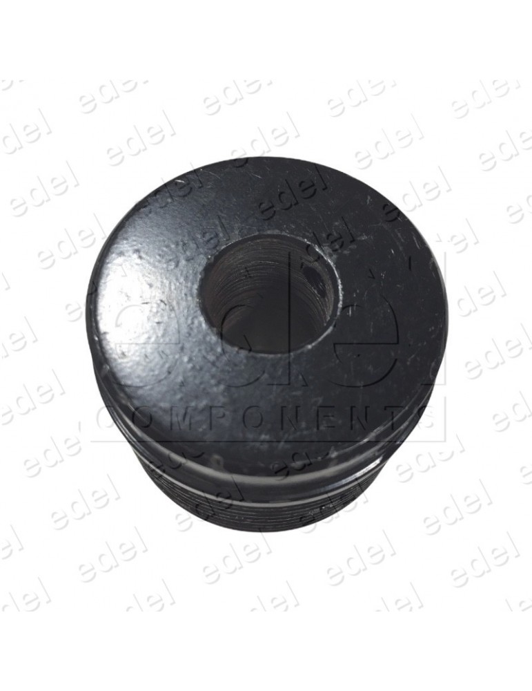 2C1A156061-42 PIGNON MOTEUR PORTE WITTUR-SELCOM C.A.42MM