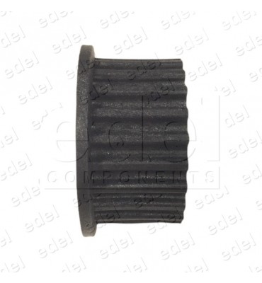 2C1M89631H01 POULIE MOTEUR PORTE WITTUR-SELCOM ECO ACTUEL