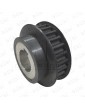 2C1A040123 PULLEY MOTOR DOOR WITTUR-SELCOM HYDRABELT