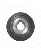 2C1A040123 POULIE MOTEUR PORTE WITTUR-SELCOM HYDRABELT