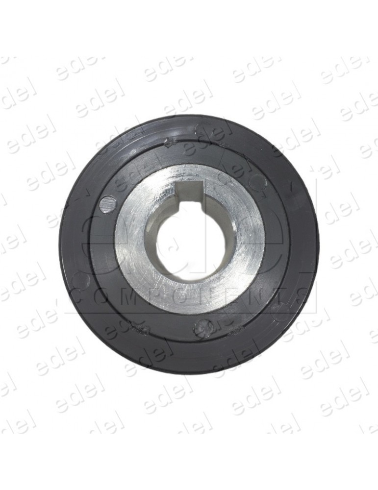 2C1A040123 PULLEY MOTOR DOOR WITTUR-SELCOM HYDRABELT