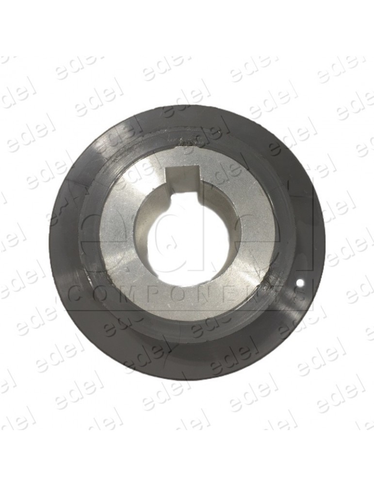 2C1A040123 PULLEY MOTOR DOOR WITTUR-SELCOM HYDRABELT