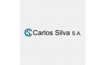 Carlos Silva                       